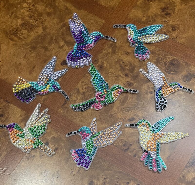 Humming Bird Magnets